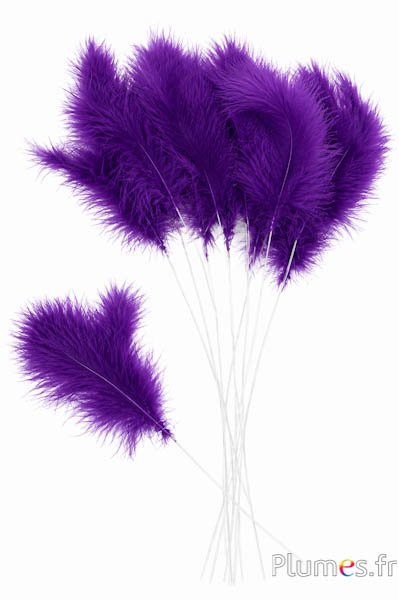 Rispe 3 Federn - Höhe 36 cm - violett